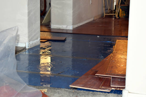 Professional Water Damage Restoration technician working in Creston, OH